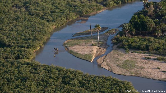 Selous reserve in Tanzania