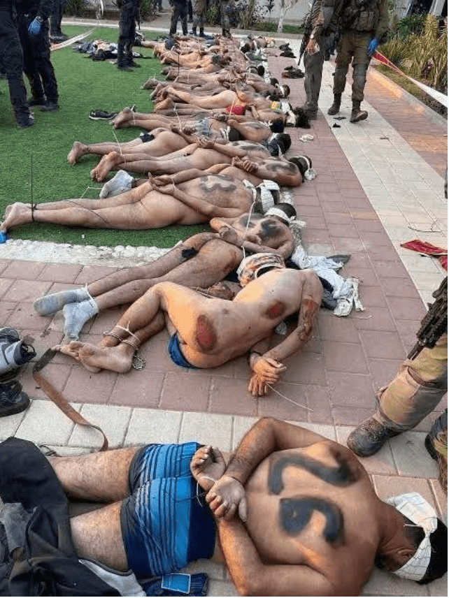 screenshot_20231208-201559-png.2837136