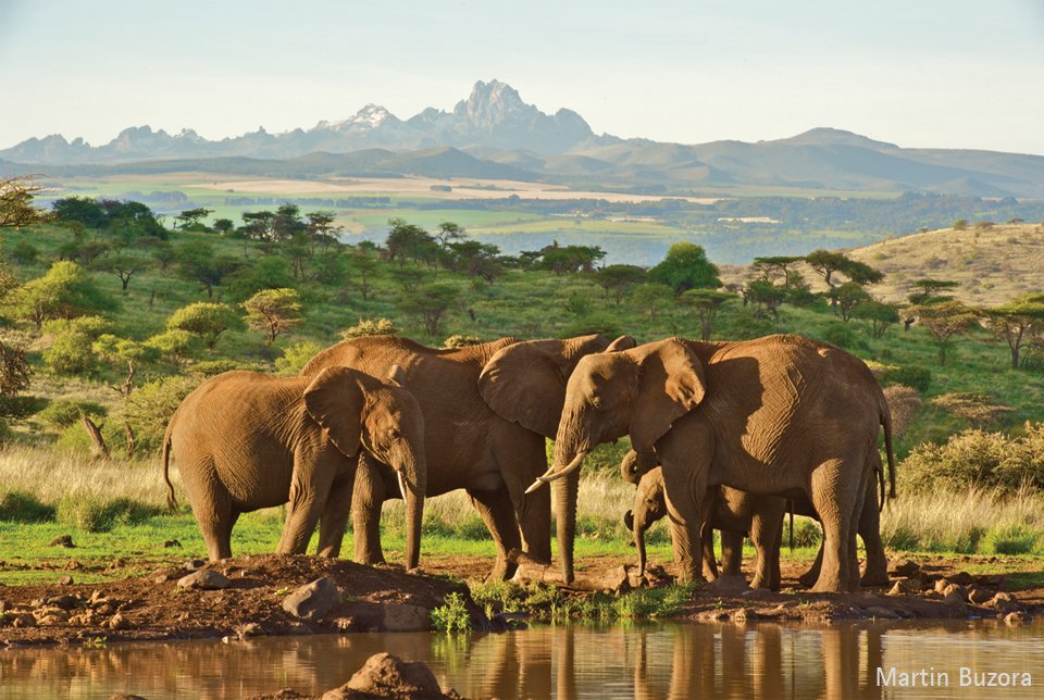 CZpR-O5WcAEdHOs.jpg:large