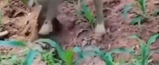 1721684400501-png.3049568