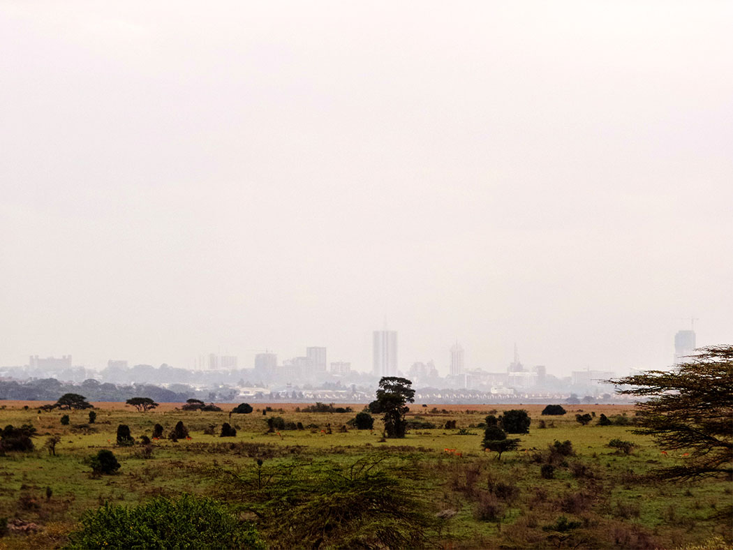 Masai-Lodge_View-of-CBD.jpg