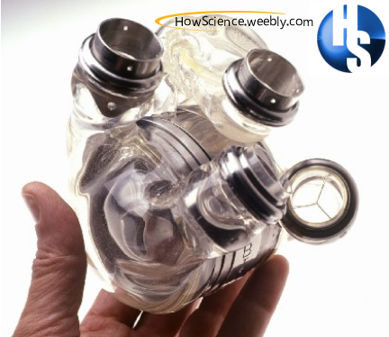 howscience.weebly.com